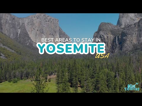 reprodutor de vídeo do YouTube