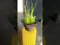green water dropping speaker testing