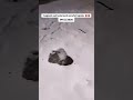 Tungnath kedarnath chopta me bhari barfbaari