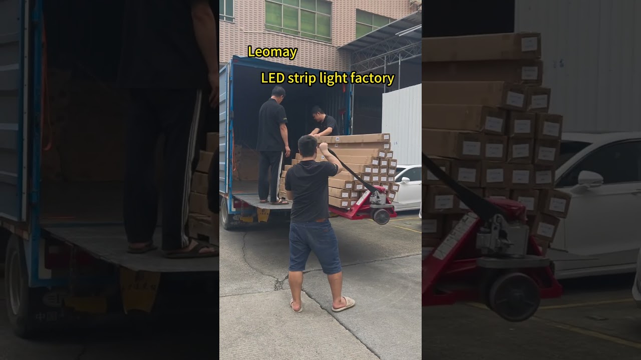 Led strips factory,Led profile,cob strip,Neon strip lights 