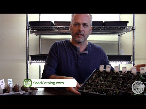5 Reasons Your Seeds Don't Germinate - video from Seed Catalog