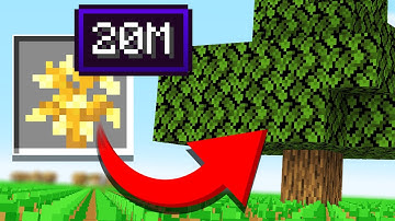 Updating Trees to be USEFUL in Minecraft! (#TeamTrees)