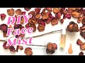 DIY Face Mist (for summer)