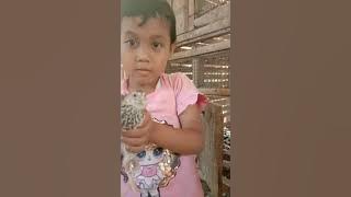Ternak burung puyuh