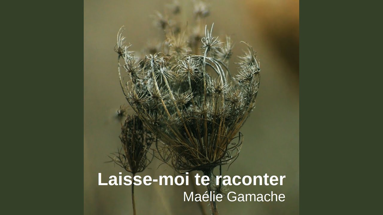 Laisse-moi te raconter - YouTube