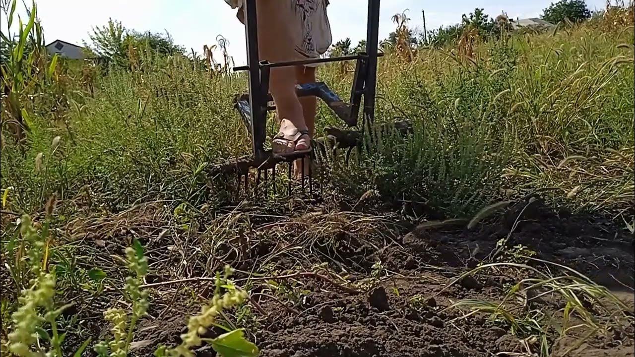 КОПАННЯ КАРТОПЛІ:ОСОБЛИВОСТІ КОПАЧА - YouTube