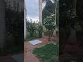 #meusitiomeuparaiso#fim$de#tarde