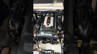 IMG 5184