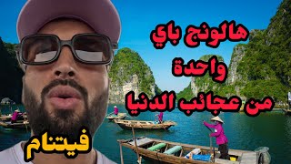 اجمل رحلة في فيتنام خليج هالونج باي، جربت ركوب الكروز 🤯