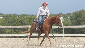 Exzackly On Time - walks, jogs, lopes - ValleyViewRanch.net