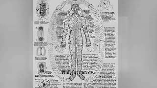 Unlocking the Secrets: How Qi Energy Flows Through the Body