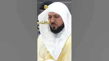 سورة الزمر | الشيخ #ماهر_المعيقلي
