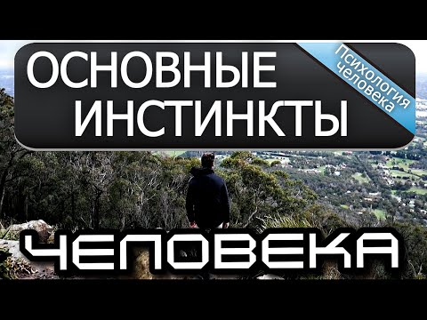 Основные инстинкты человека. Какой у человека самый главный инстинкт, который им управляет.