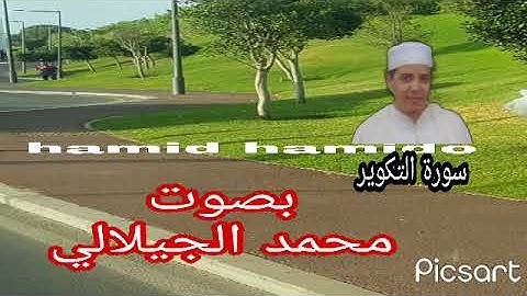 سورة التكوير من القرآن الكريم بصوت القارئ محمد الجيلالي تلاوة خاشعة❤ برواية ورش👍