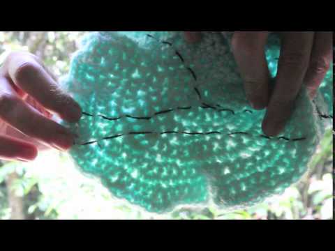 The Parallel Lines Postulate sewed onto an Hyperbolic Plane