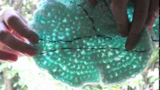 The Parallel Lines Postulate sewed onto an Hyperbolic Plane