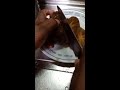 ASMR VANILLA PERSIMMON, KAKI