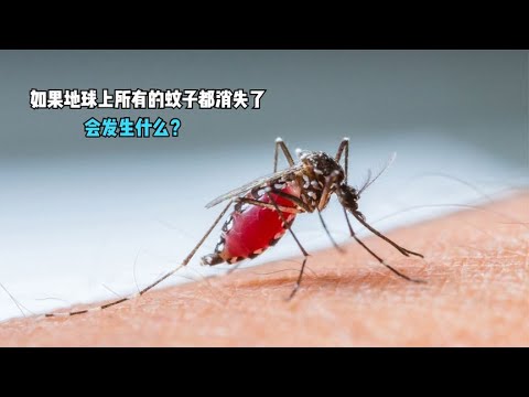 如果地球上所有的蚊子都消失了会发生什么后果会很严重吗