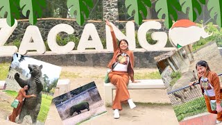 Zoológico de Zacango🌴🐒🦒🦓/ FATIMA GALICIA✨