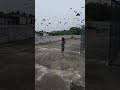Solo motion video
