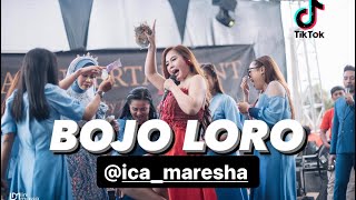 BOJO LORO - ica maresha ( live show patrol )