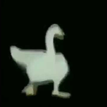 duck dancing to nokia ringtone