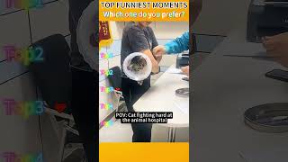Funniest AnimalsMoments#funnyanimals #animalcomedy #dog#funny#funnyanimals#funnypets#animals