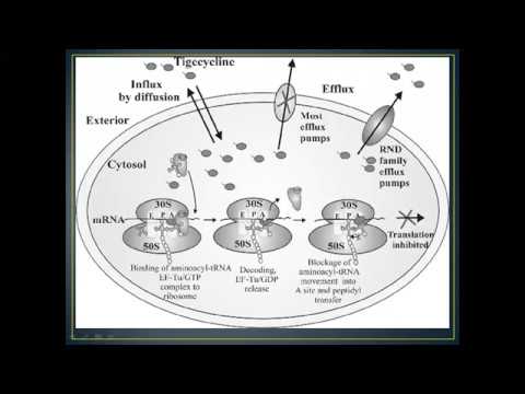 KCP-Drug Expert-Tigecycline