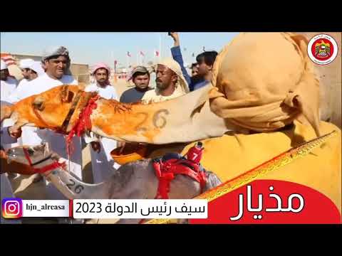 سباق هجن الرئاسه سيف رئيس الدوله مهرجان الوثبة الختامي 2023