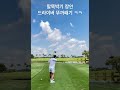 말뚝박기 드라이버샷