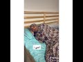 ميتو الشامسي ام محمد سحيله فهودي فديو جديد😂😂#shorts