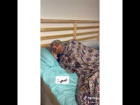 ميتو الشامسي ام محمد سحيله فهودي فديو جديد Shorts