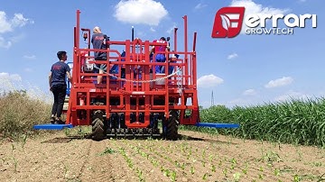 Ferrari Futura Autoplanter – high density crops version