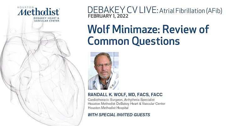 Wolf Minimaze: Review of Common Questions (Randall...