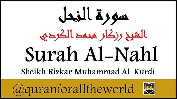 1271666 سوره النحل رزكار الكردي Surah Al Nahl 16 Razkar Muhammad Al Kurdi 127 @quranforalltheworld