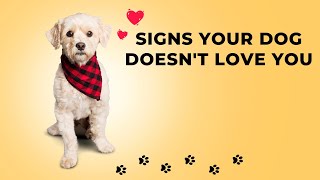 13 Signs Your Dog Doesn’t Love You (Even if You Think They Do)