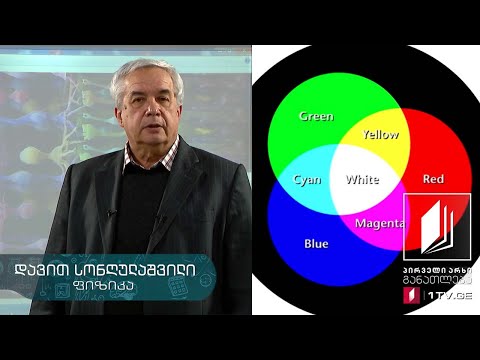 ფიზიკის დრო - ფერების შეგრძნება, ბადურა, კოლბები და ჩხირები #ტელესკოლა