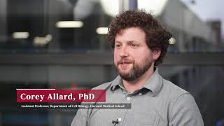 Why Study Medical Research? Insights from Harvard Medical School Faculty