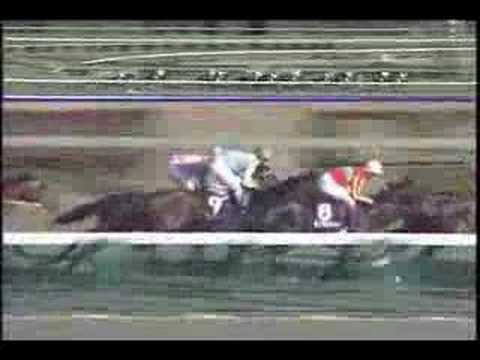第41回有馬記念 サクラローレル - YouTube