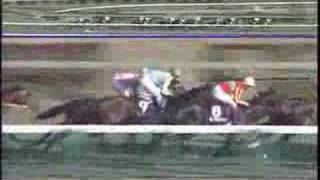 第41回有馬記念 サクラローレル - YouTube 第41回有馬記念 サクラローレル - YouTube