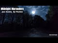 Joe Dukie DJ Fitchie Midnight Marauders