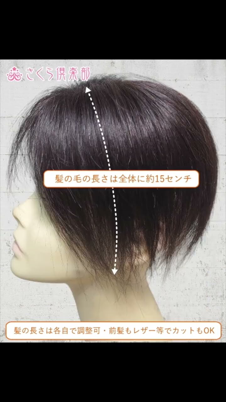 人毛BLACK 日本髪ウィッグ Sサイズ(中サイズ) 人毛部分ウィッグ 女性用ヘアピース 左分け Mサイズ top-dx2an