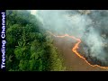 ¿Qué pasaría su se incendia la selva Amazónica?