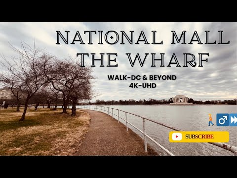 4K Winter Walking Tour | National Mall | The Wharf | Tidal Basin & Canadian Geese | Washington, D.C.