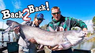 Epic Back To Back Giants- Fall River Catfishing With Huge Baits!!! (Missouri River Fishing!!)
