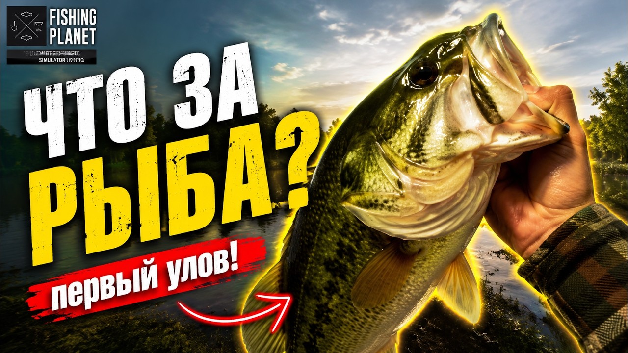 ПОЙМАЛ БОЛЬШЕРОТНОГО БАССА! Рыбалка в Fishing Planet