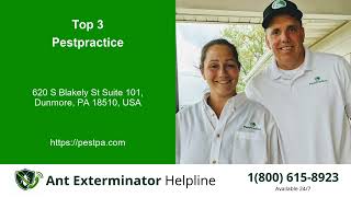 Top 3 Ant Exterminator Helpline in Old Forge