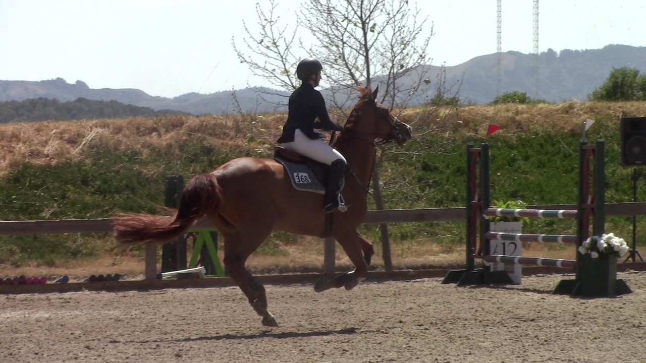 HMI Equestrian - Remy Martin