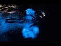 Swimming in a GLOWING OCEAN ! Incredible Bioluminescence