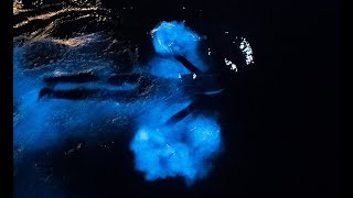 Swimming in a GLOWING OCEAN ! Incredible Bioluminescence